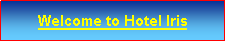 Text Box: Welcome to Hotel Iris