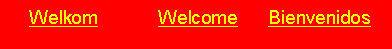 Text Box:      Welkom            Welcome      Bienvenidos 